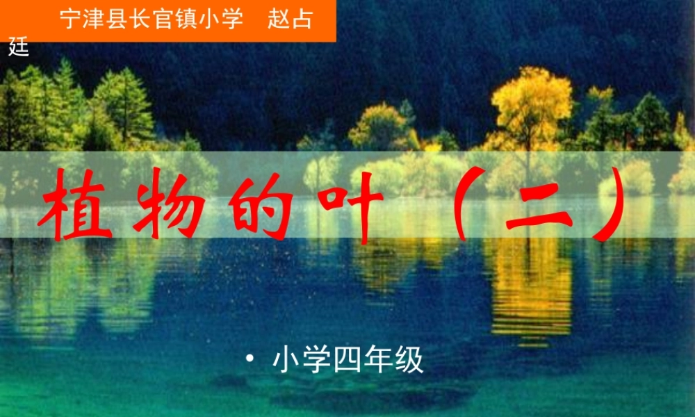 青岛小学科学四上《3 植物的叶》PPT课件 (5) .ppt