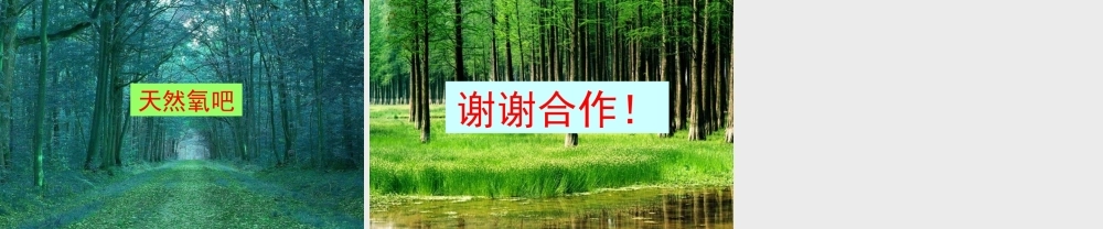 青岛小学科学四上《3 植物的叶》PPT课件 (5) .ppt