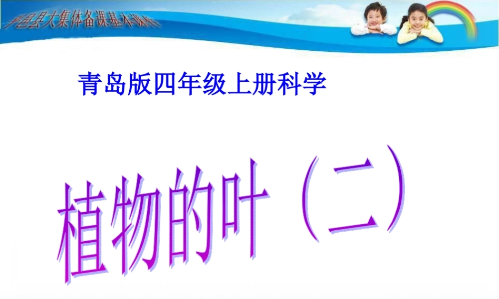 青岛小学科学四上《3 植物的叶》PPT课件 (7) .ppt