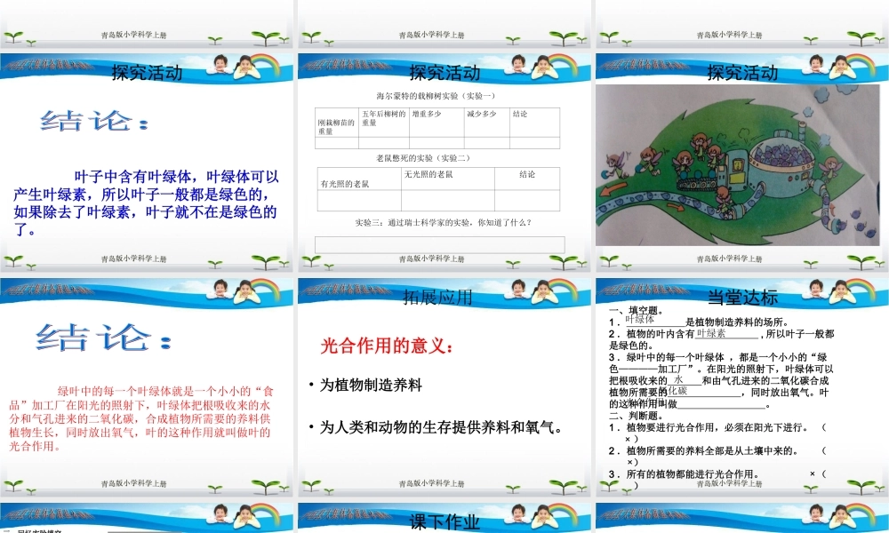 青岛小学科学四上《3 植物的叶》PPT课件 (7) .ppt