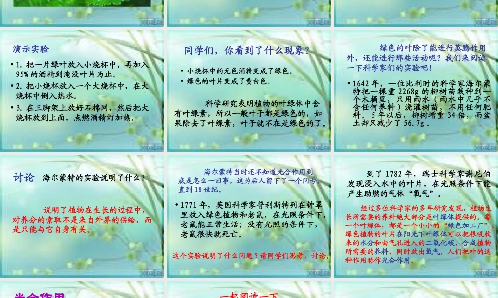 青岛小学科学四上《3 植物的叶》PPT课件 (6) .ppt