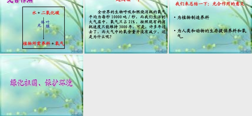 青岛小学科学四上《3 植物的叶》PPT课件 (6) .ppt