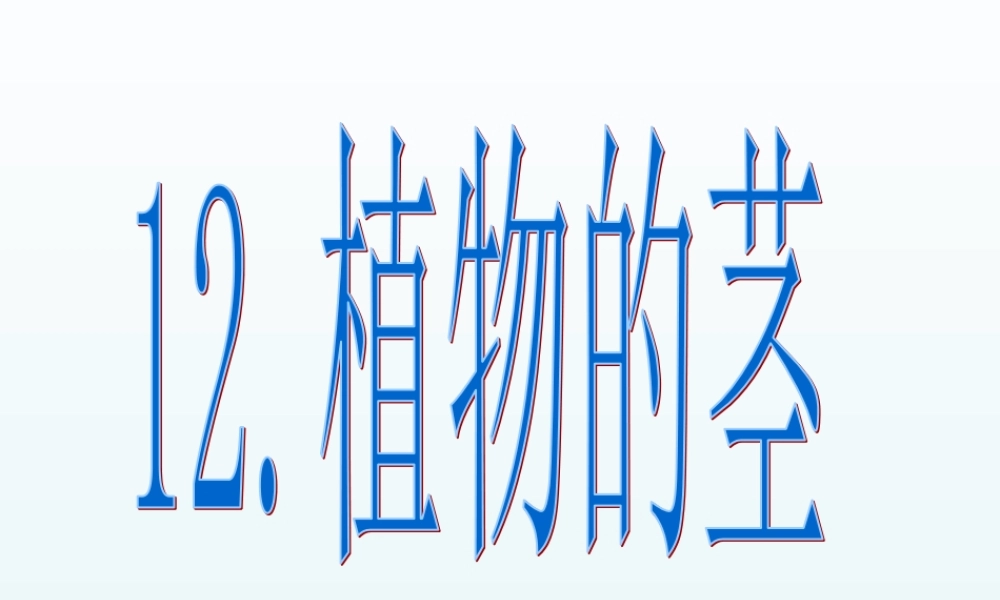 青岛小学科学四上《4 植物的茎》PPT课件 (4) .ppt