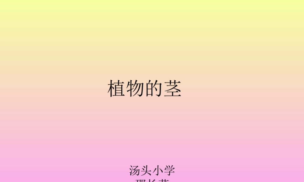 青岛小学科学四上《4 植物的茎》PPT课件 (3) .ppt