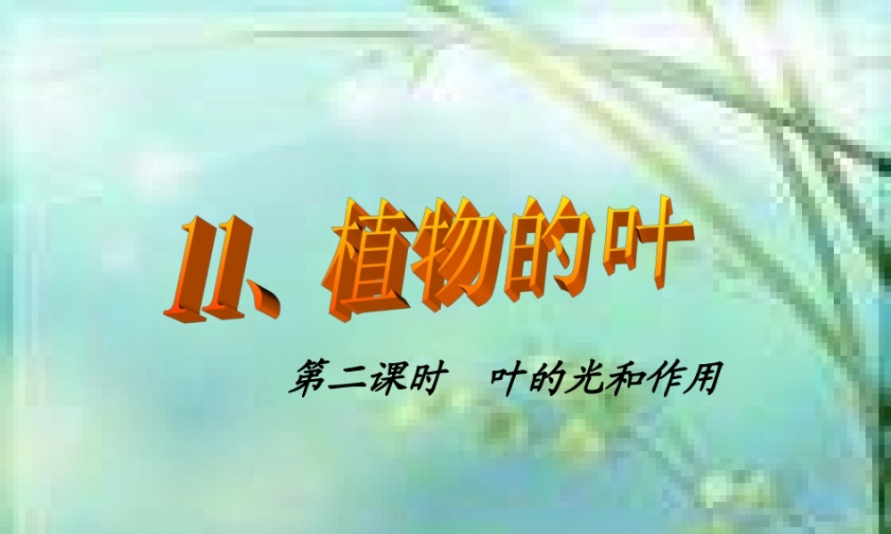 青岛小学科学四上《3 植物的叶》PPT课件 (9) .ppt