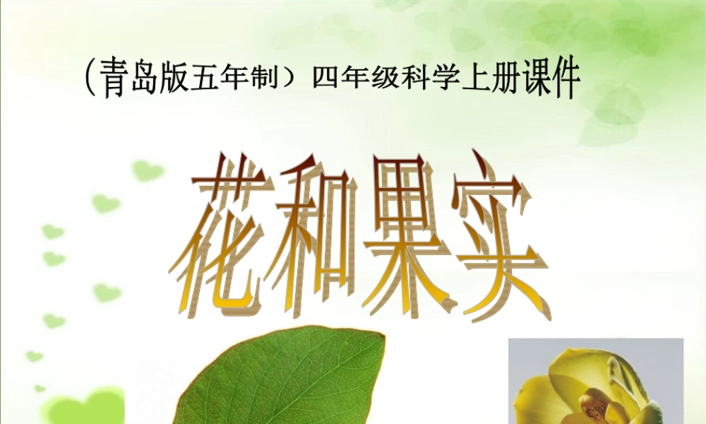 青岛小学科学四上《5 花和果实》PPT课件 (1) .ppt