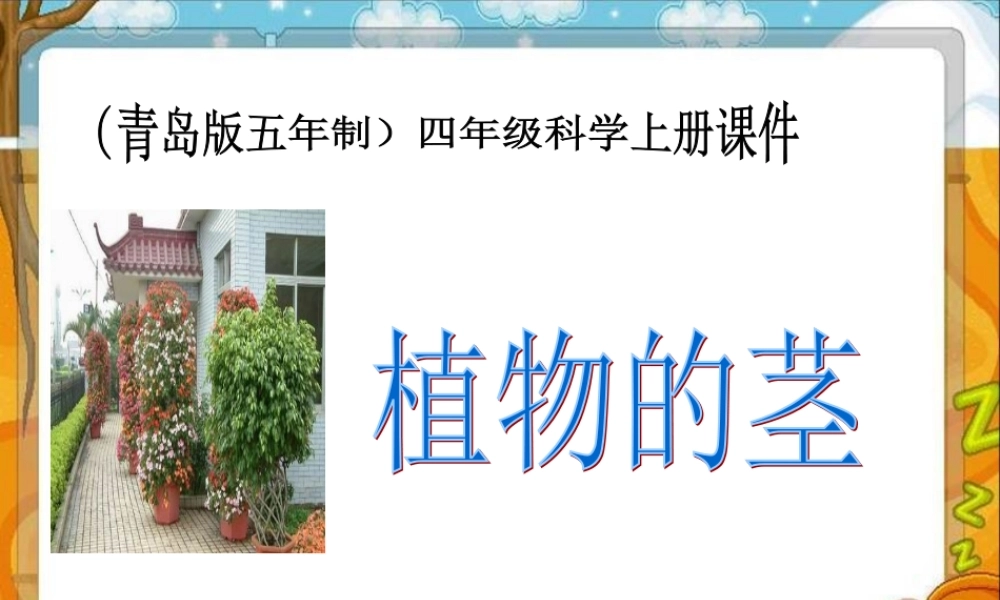 青岛小学科学四上《4 植物的茎》PPT课件 (1) .ppt