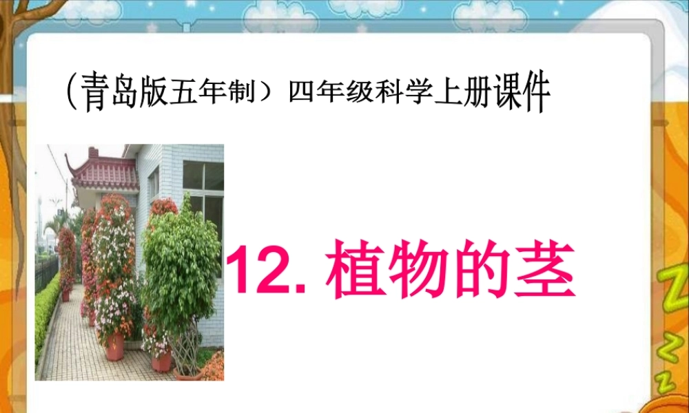 青岛小学科学四上《4 植物的茎》PPT课件 (2) .ppt