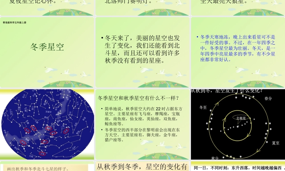 青岛小学科学四上《7 冬季星空》PPT课件 (3) .ppt