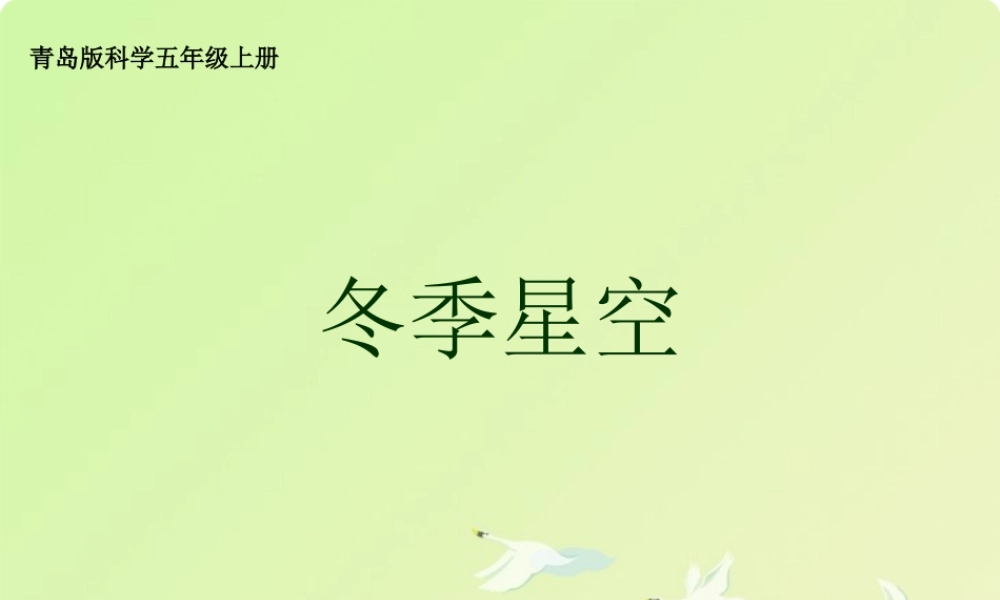 青岛小学科学四上《7 冬季星空》PPT课件 (4) .ppt