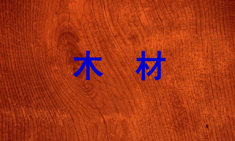 青岛小学科学四上《8 木材》PPT课件 (1) .ppt