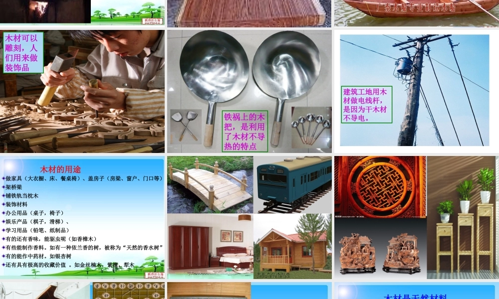 青岛小学科学四上《8 木材》PPT课件 (1) .ppt