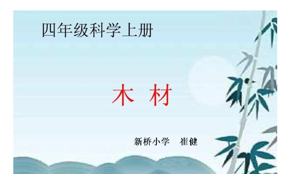 青岛小学科学四上《8 木材》PPT课件 (3) .ppt
