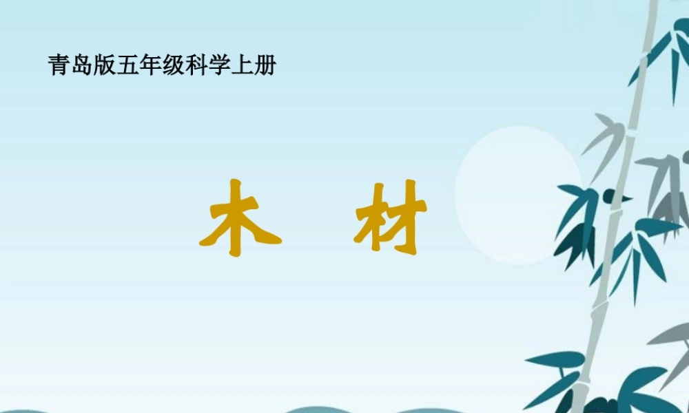 青岛小学科学四上《8 木材》PPT课件 (10) .ppt