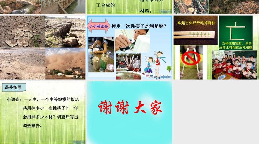 青岛小学科学四上《8 木材》PPT课件 (10) .ppt