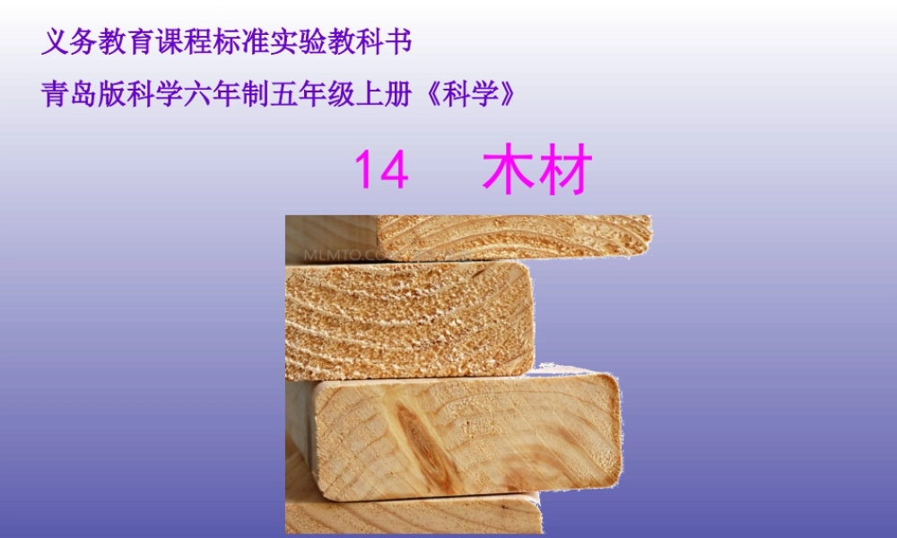 青岛小学科学四上《8 木材》PPT课件 (13) .ppt