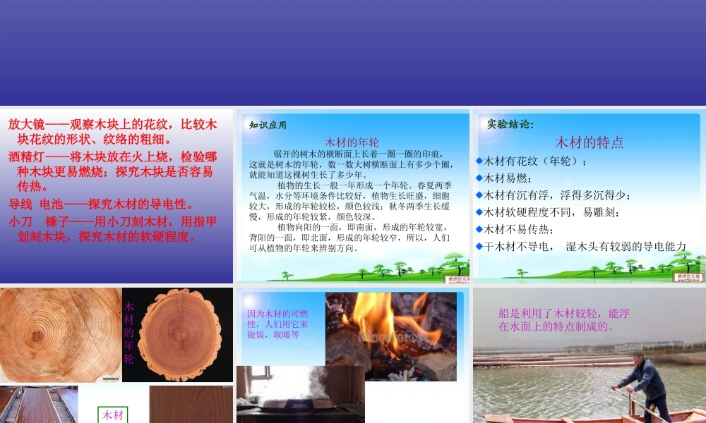 青岛小学科学四上《8 木材》PPT课件 (13) .ppt