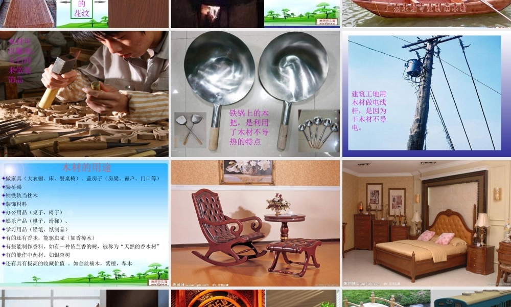 青岛小学科学四上《8 木材》PPT课件 (13) .ppt