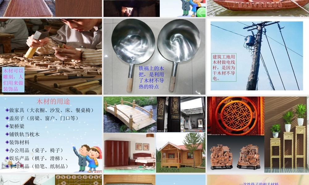 青岛小学科学四上《8 木材》PPT课件 (12) .ppt