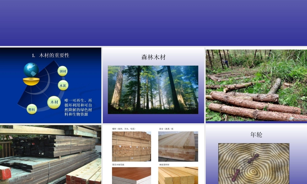 青岛小学科学四上《8 木材》PPT课件 (14) .ppt