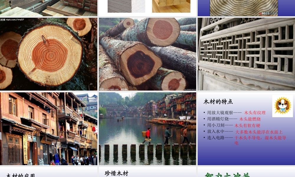 青岛小学科学四上《8 木材》PPT课件 (14) .ppt