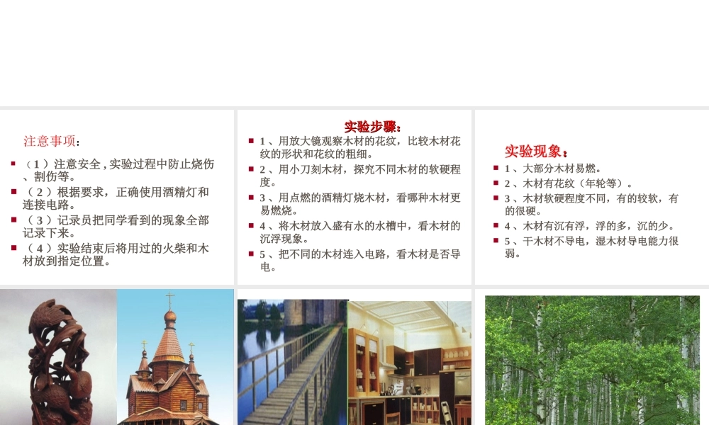 青岛小学科学四上《8 木材》PPT课件 (11) .ppt