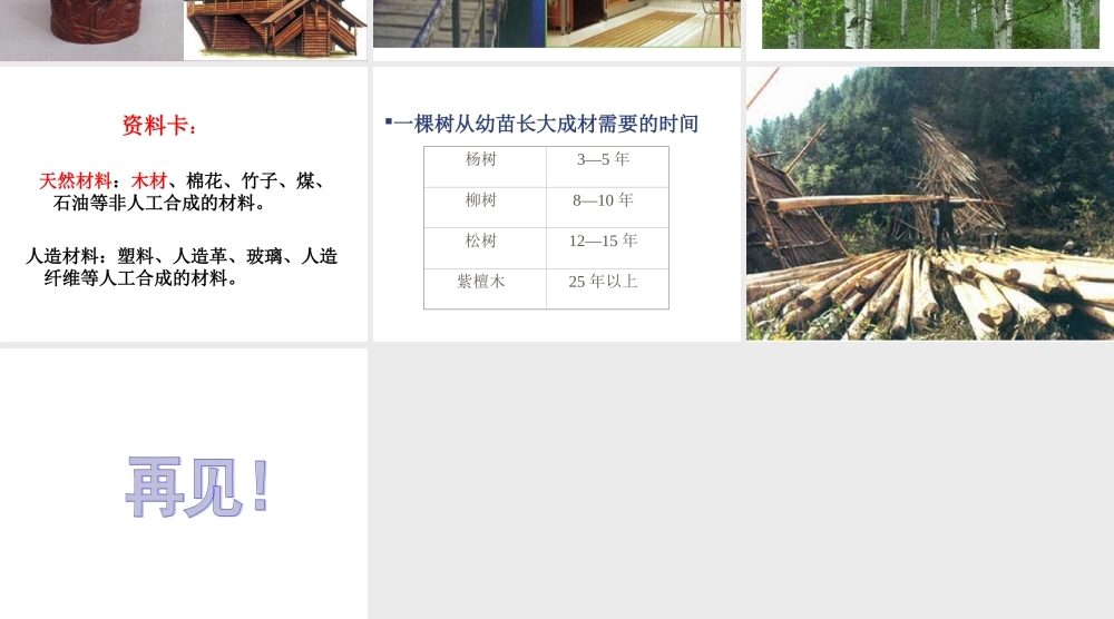 青岛小学科学四上《8 木材》PPT课件 (11) .ppt