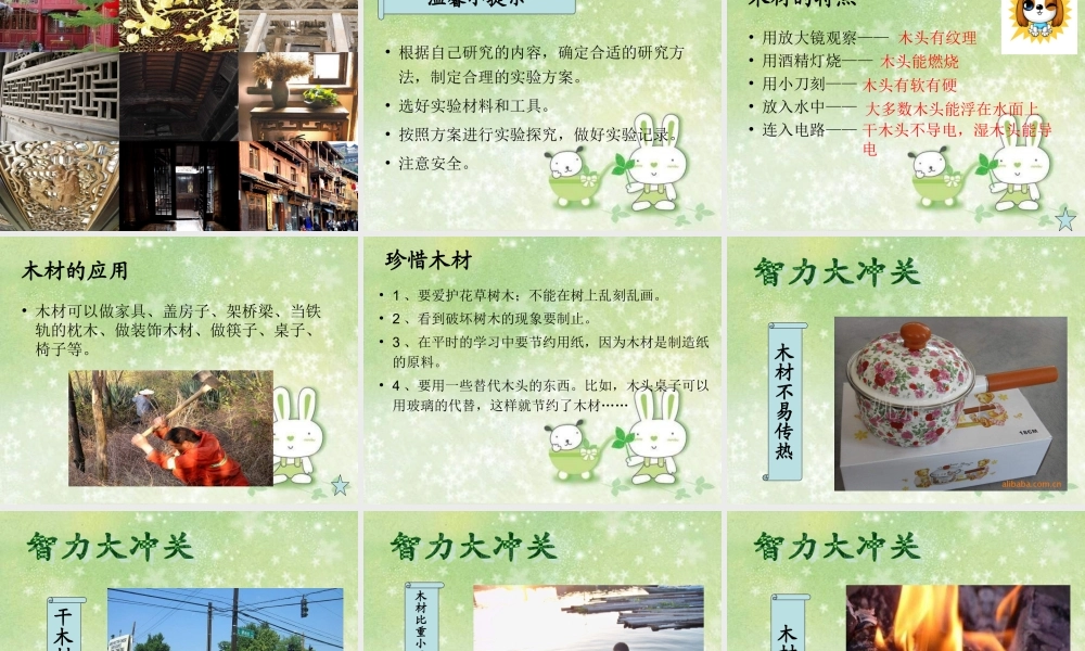 青岛小学科学四上《8 木材》PPT课件 (4) .ppt