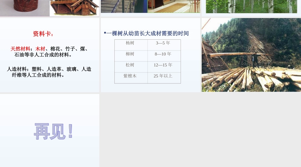 青岛小学科学四上《8 木材》PPT课件 (6) .ppt
