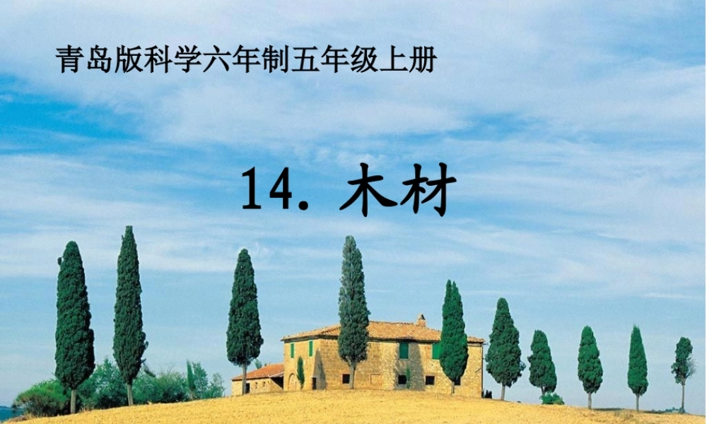 青岛小学科学四上《8 木材》PPT课件 (9) .ppt