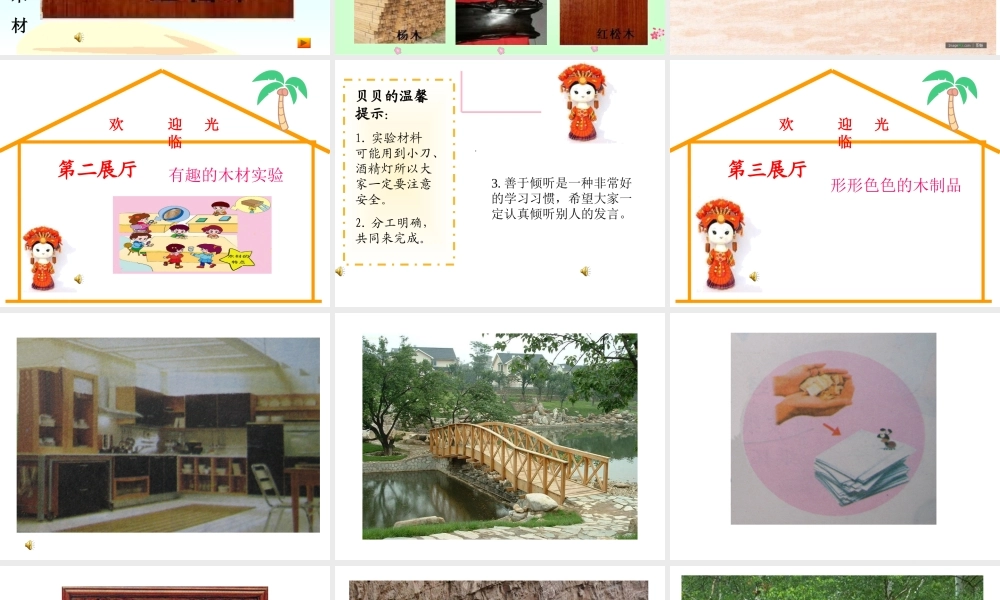 青岛小学科学四上《8 木材》PPT课件 (9) .ppt
