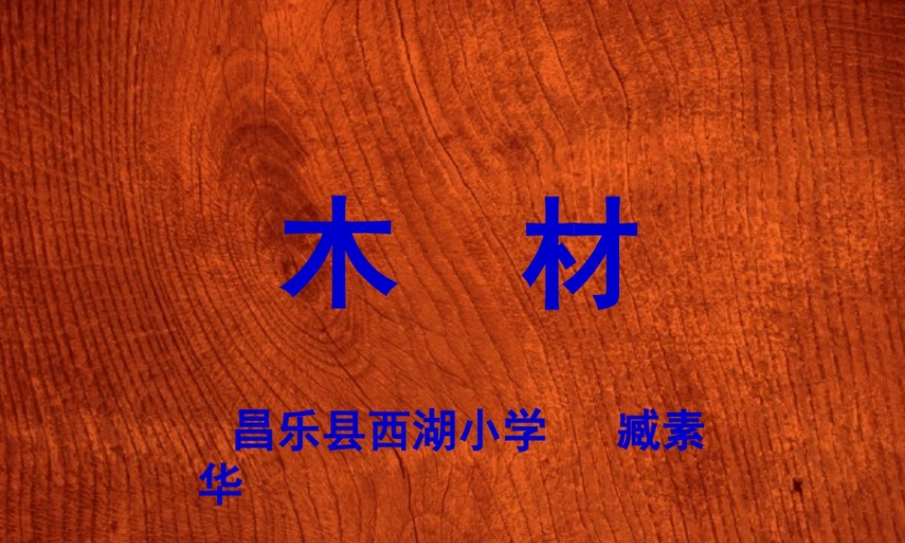 青岛小学科学四上《8 木材》PPT课件 (8) .ppt