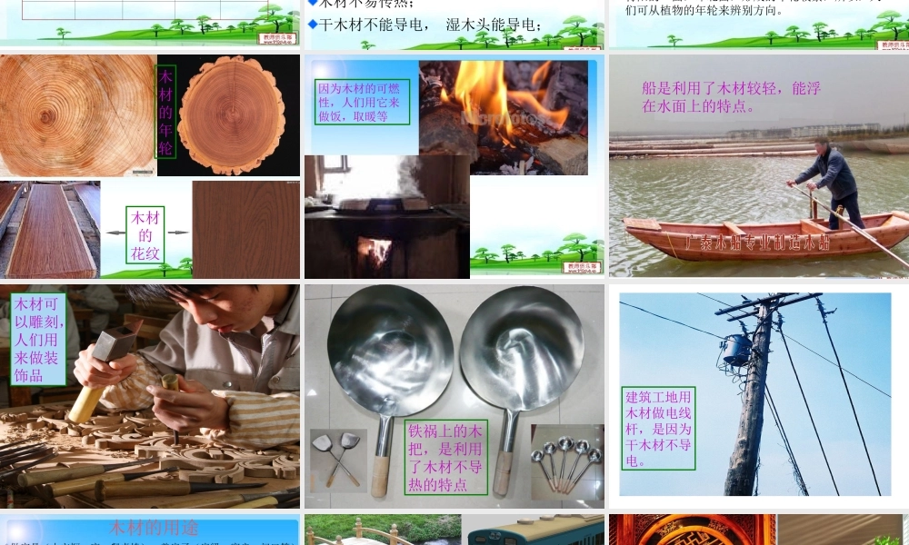 青岛小学科学四上《8 木材》PPT课件 (8) .ppt