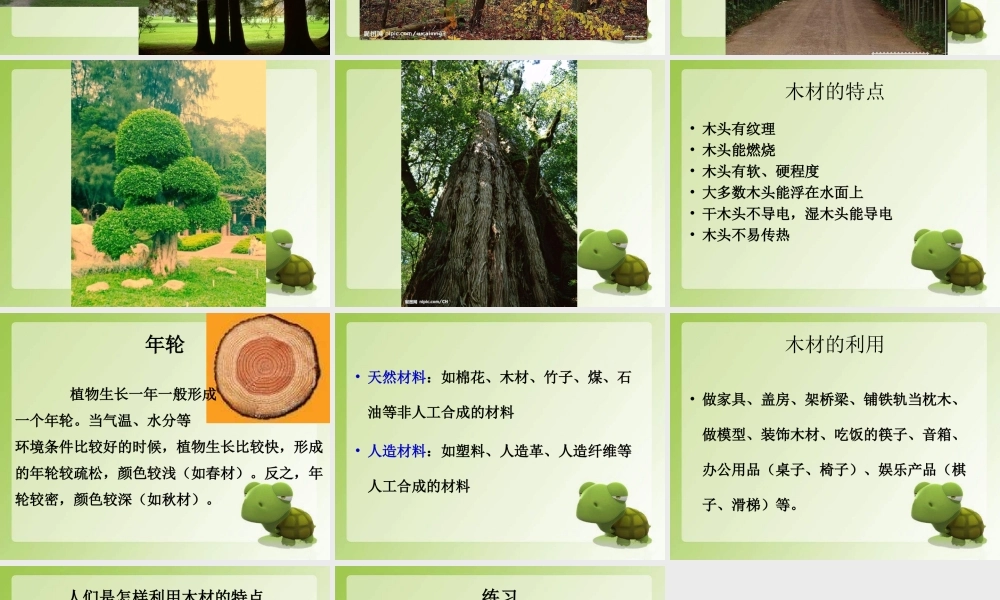 青岛小学科学四上《8 木材》PPT课件 (7) .ppt