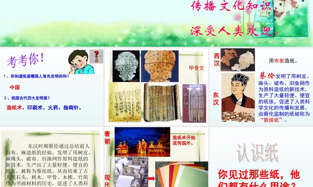 青岛小学科学四上《9 纸》PPT课件 (2) .ppt