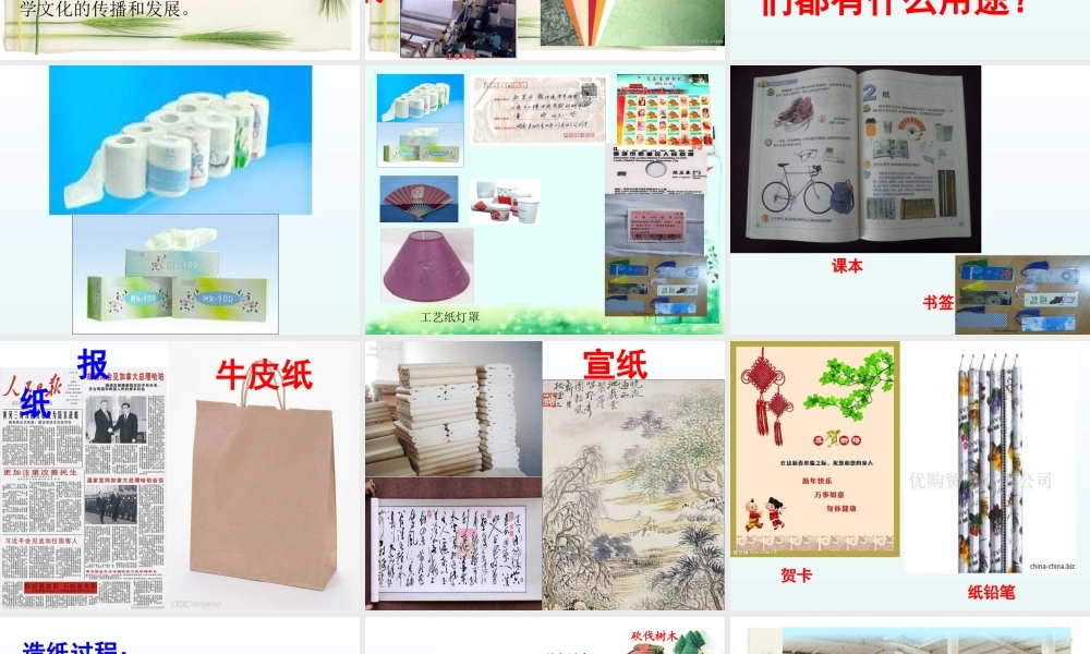 青岛小学科学四上《9 纸》PPT课件 (2) .ppt