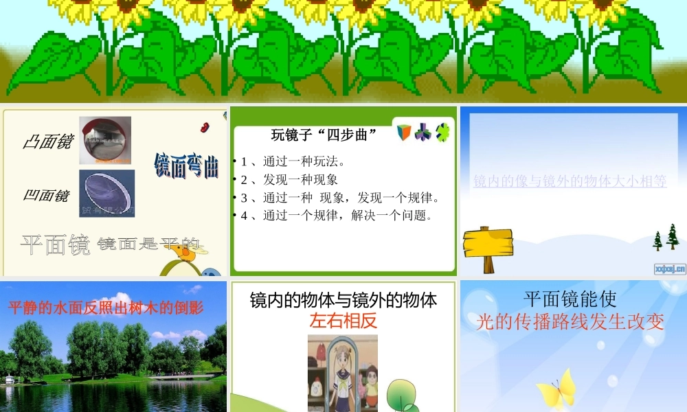 青岛小学科学四下《10 玩镜子》PPT课件 (5).ppt