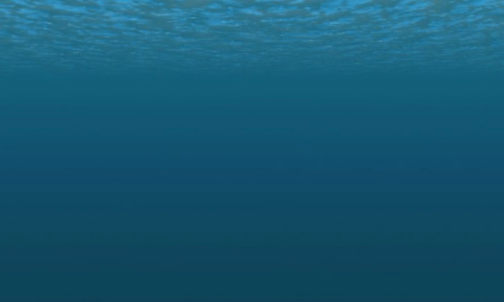 青岛小学科学四下《11 潜望镜的秘密》PPT课件 (8).ppt