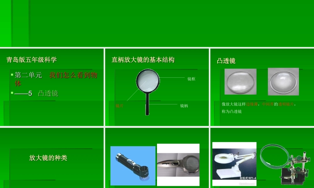 青岛小学科学四下《13 凸透镜》PPT课件 (3).ppt