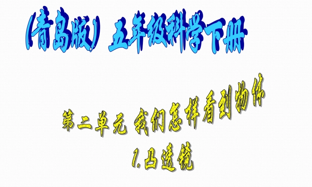 青岛小学科学四下《13 凸透镜》PPT课件 (9).ppt