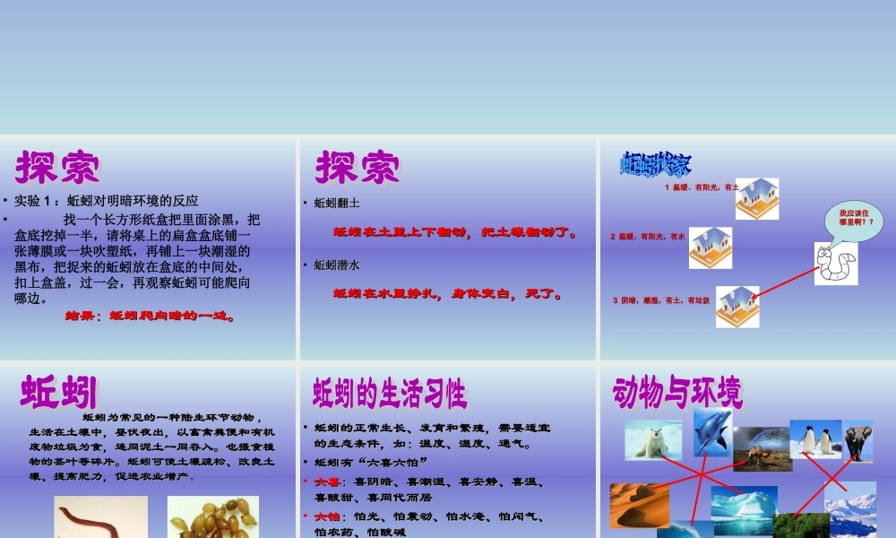青岛小学科学四下《15 蚯蚓找家》PPT课件 (3).ppt