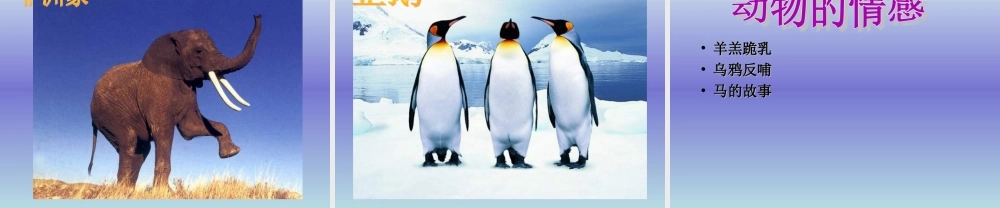 青岛小学科学四下《15 蚯蚓找家》PPT课件 (3).ppt