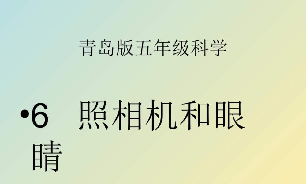 青岛小学科学四下《14 照相机和眼睛》PPT课件 (4).ppt
