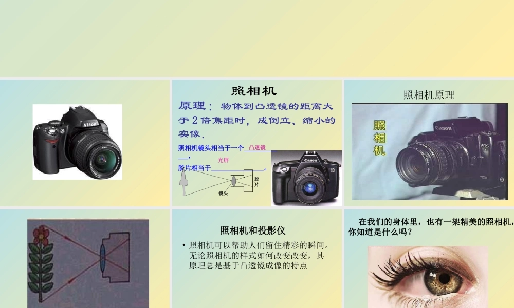 青岛小学科学四下《14 照相机和眼睛》PPT课件 (4).ppt