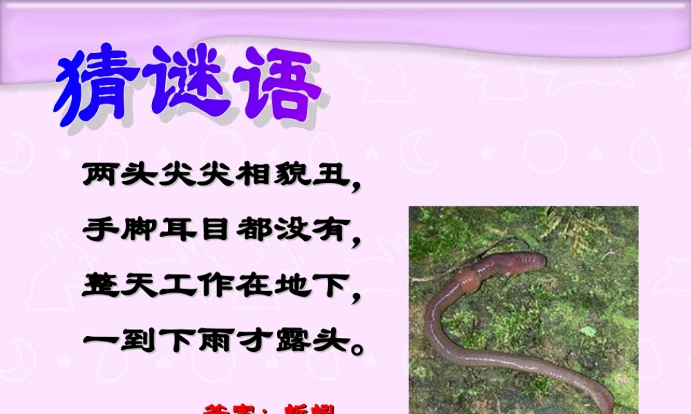 青岛小学科学四下《15 蚯蚓找家》PPT课件 (4).ppt