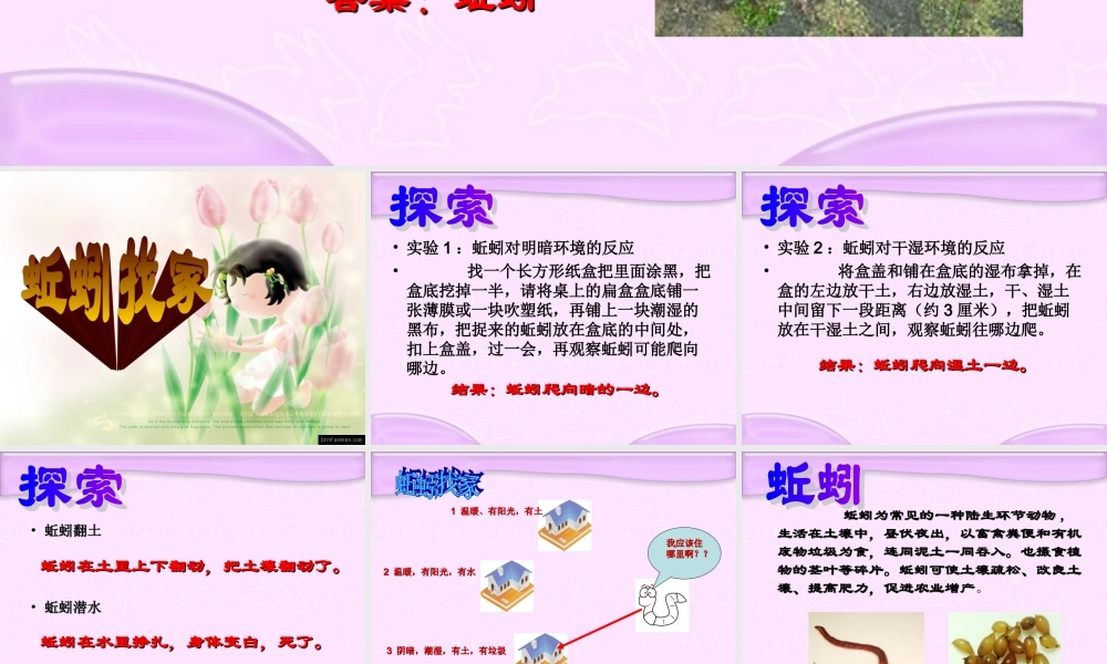 青岛小学科学四下《15 蚯蚓找家》PPT课件 (4).ppt
