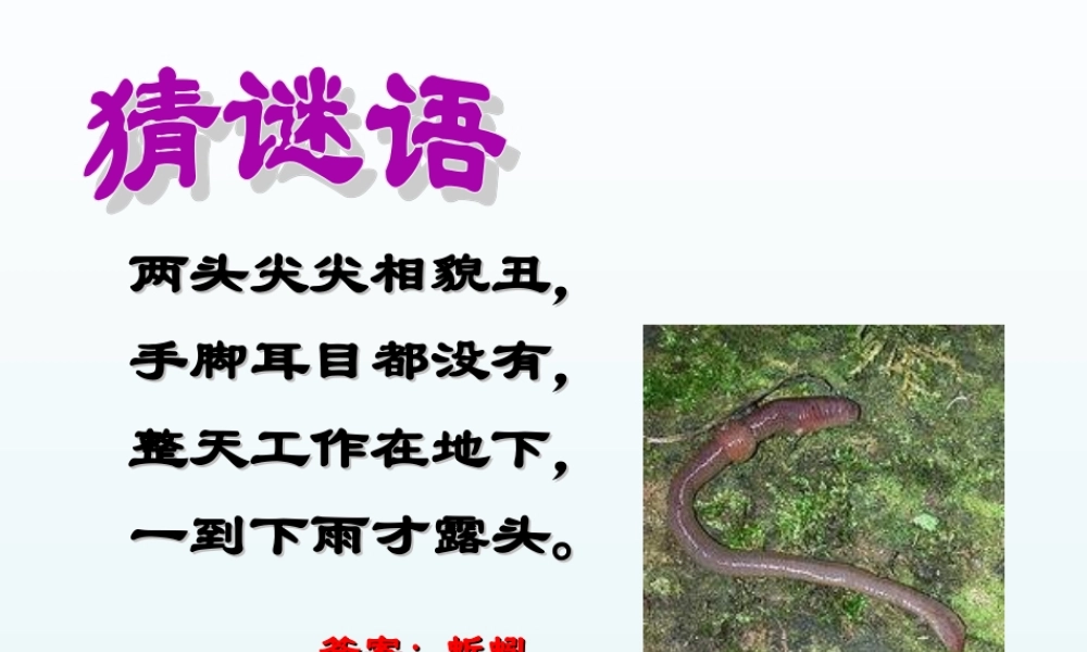 青岛小学科学四下《15 蚯蚓找家》PPT课件 (2).ppt