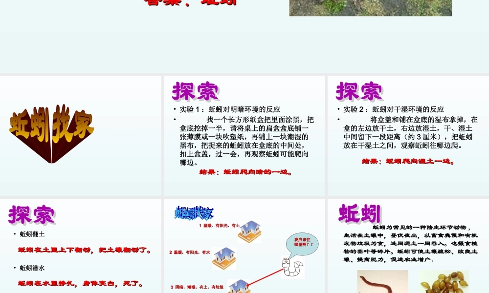 青岛小学科学四下《15 蚯蚓找家》PPT课件 (2).ppt