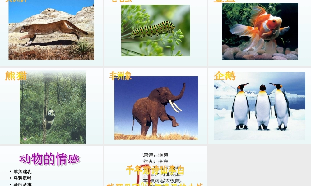 青岛小学科学四下《15 蚯蚓找家》PPT课件 (2).ppt