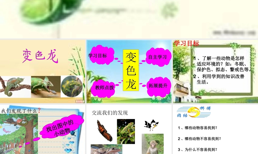 青岛小学科学四下《16 变色龙》PPT课件 (4).ppt